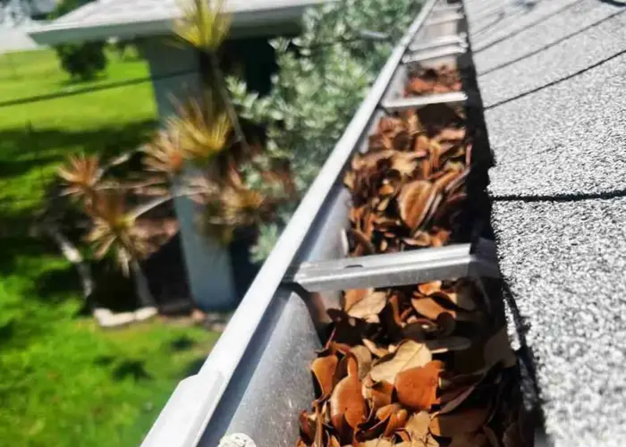 Windsor gutter cleaning home page